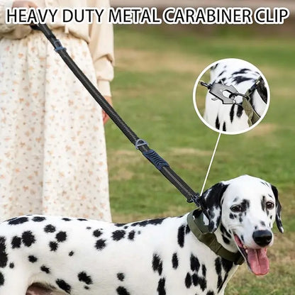 Shock Absorbing Pet Leashes with Car Seatbelt for Large Dogs