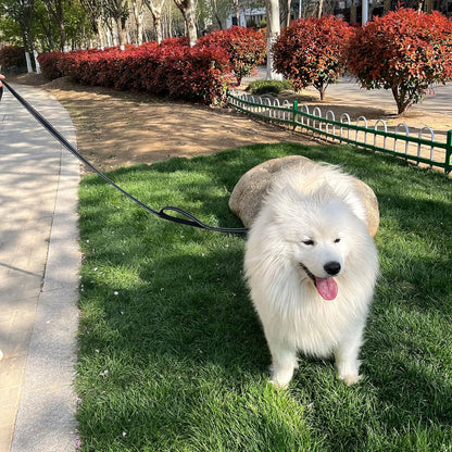 Heavy Duty Double Handle Pet Leash with Reflective Strips for Night Safety