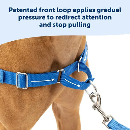 Anti-Pull Harness Easy Walk Front Clip | Breathable Mesh for Dogs, No Pull Pet Training & Walks