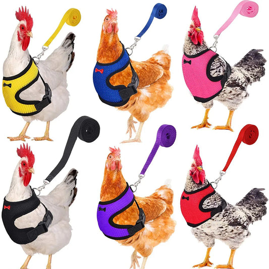 Chicken Duck Vest Hen Belt Pet Harness Matching Collars Bow Comfortable Leads