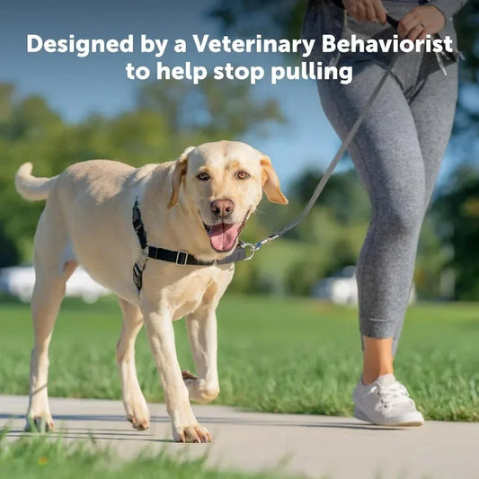 Anti-Pull Harness Easy Walk Front Clip | Breathable Mesh for Dogs, No Pull Pet Training & Walks