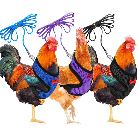 Chicken Duck Vest Hen Belt Pet Harness Matching Collars Bow Comfortable Leads