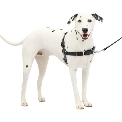 Anti-Pull Harness Easy Walk Front Clip | Breathable Mesh for Dogs, No Pull Pet Training & Walks