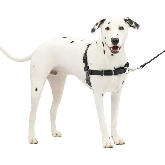 Anti-Pull Harness Easy Walk Front Clip | Breathable Mesh for Dogs, No Pull Pet Training & Walks