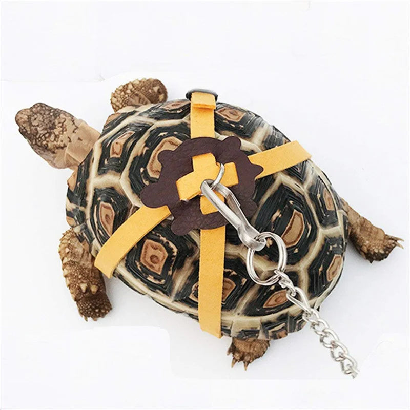 Small Pet Turtle Rope Safety Belt Training Rope