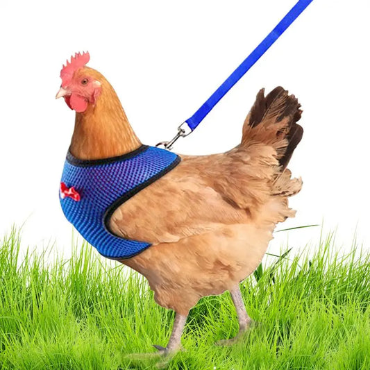 Chicken Harness Vest Adjustable 3.6Ft Training Rope for Hens