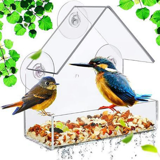 Window Bird Feeder with Strong Suction Cups for Watching Wild Birds