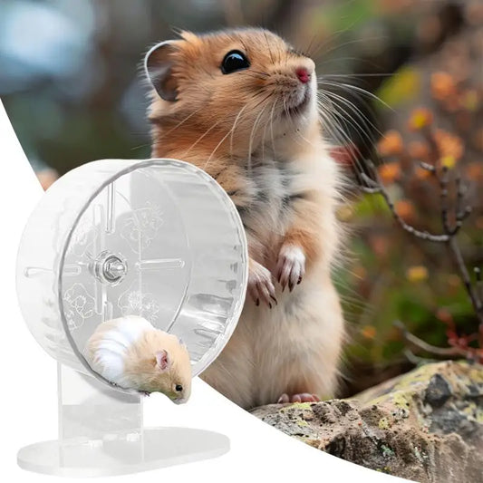 Hamster Wheel Silent Transparent Exercise Wheel  Height Adjustable