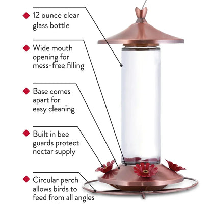 Elegant Copper Glass Hummingbird Feeder 12oz 4 Feeding Ports Wide Mouth  Bee Guard