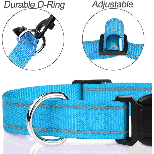 Small Dog Collar Decorative Multiple Colors and Sizes