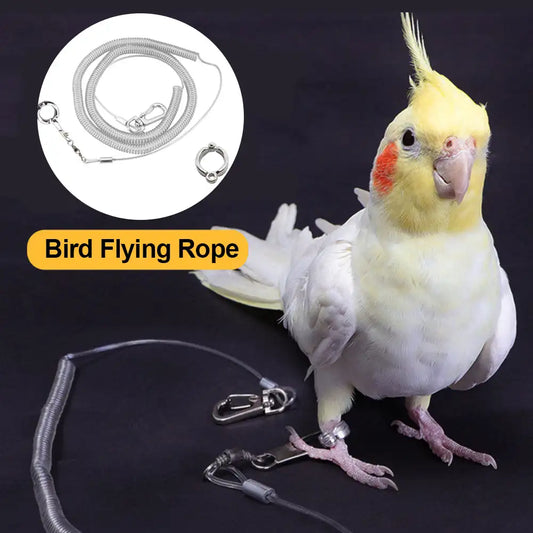 3M/6M Bird Flying Training Leash Ultra-light Flexible Rope with Leg Ring Harness