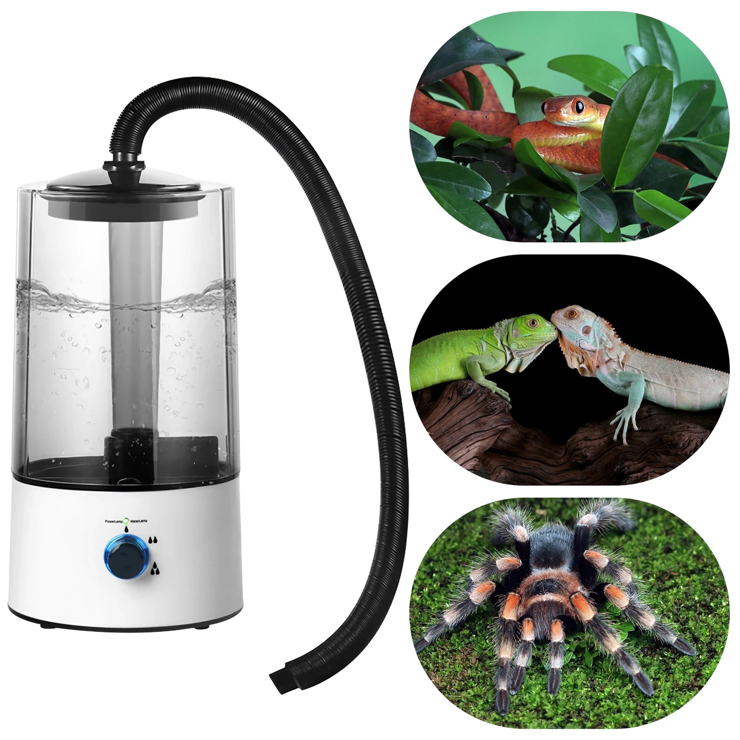 Reptile Humidifier 4L with Tube, Mist Humidifier for Reptile Amphibians Snakes Turtles