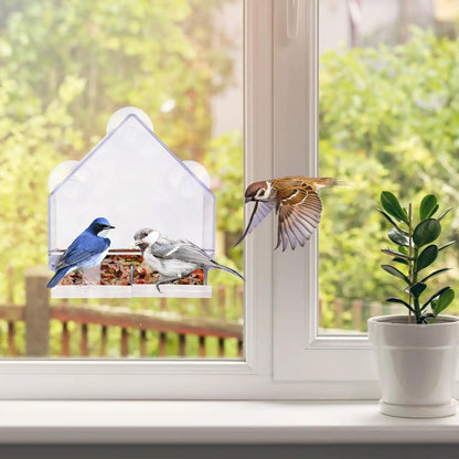 Window Bird Feeder with Strong Suction Cups for Watching Wild Birds